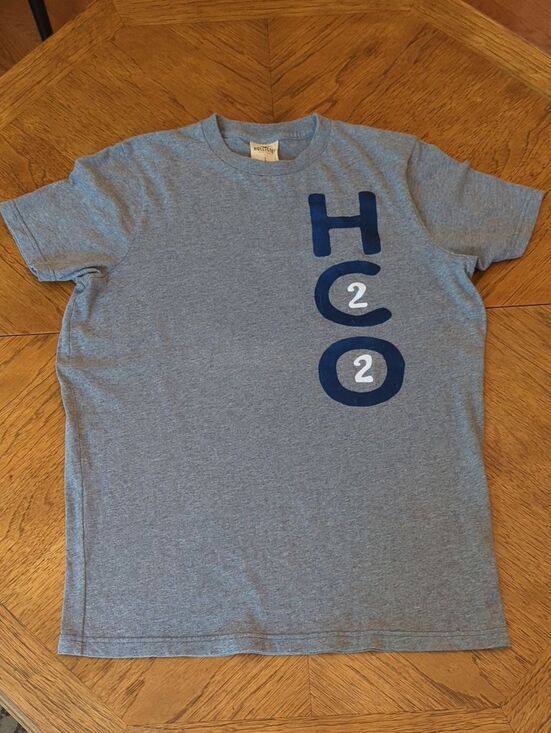 Hollister Other - Hollister Heather Gray Graphic  Size Large